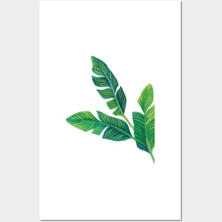 Tropical plant Posters and Art